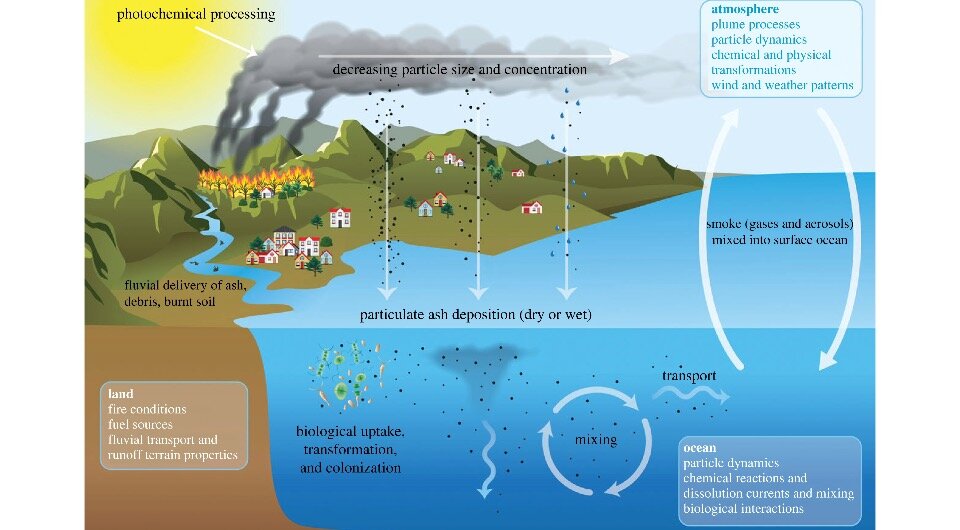   Tanika Ladd et al. /Proceedings of the Royal Society B: Biological Sciences, 2023