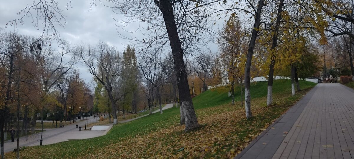Самара.Ноябрь 2023г. (Фото от Анастасии)