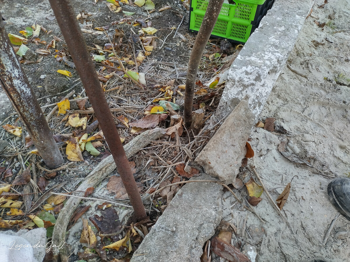 Зато доломал