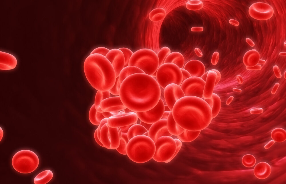 В одном кубическом миллиметре крови содержится от 180 до 320 тыс. тромбоцитов Иллюстрация: © SciePro / Shutterstock / FOTODOM