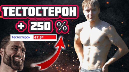 Я поднял тестостерон на 250% что из этого вышло?