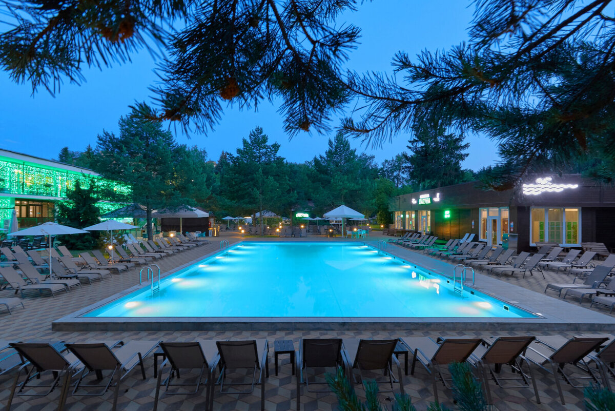 Бассейн окружают сосны