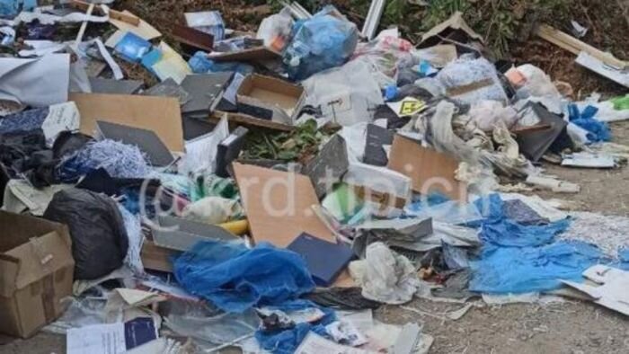 Источник фото: Telegram / "Типичный Краснодар"