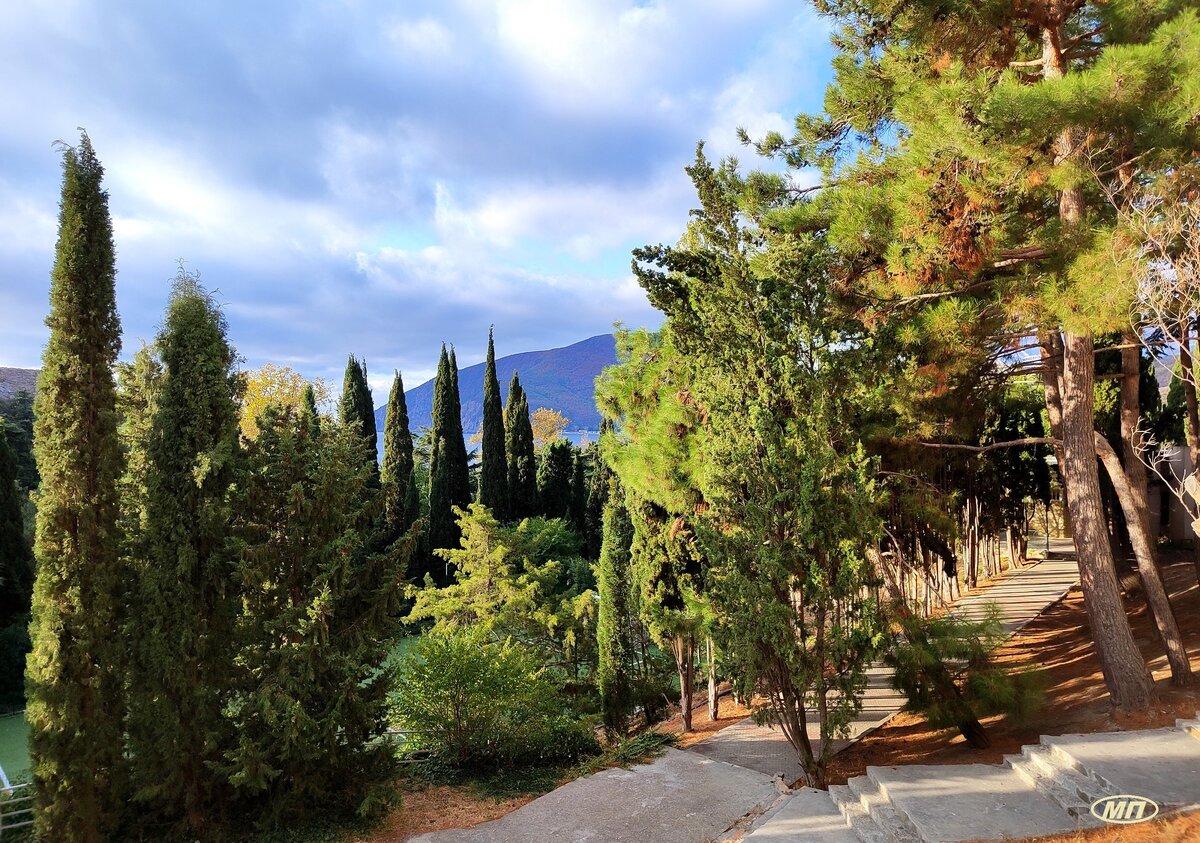 Парк санатория "Утес"