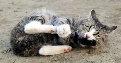 Фото из Интернета.