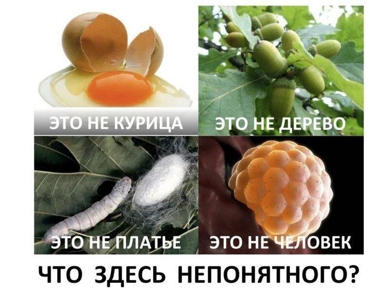 Иллюстрация из открытых источников