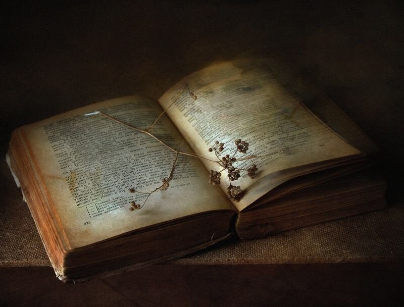 Изображение взято из открытых источников интернета. 