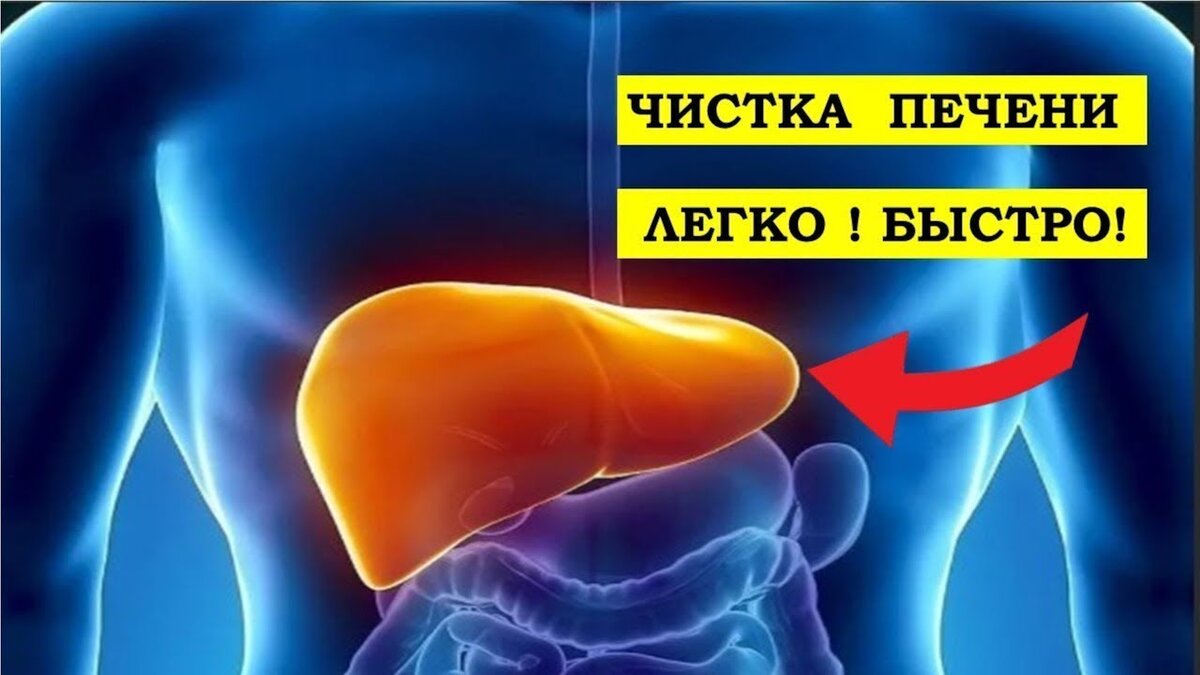 Картинка взята из открытых источников интернета.