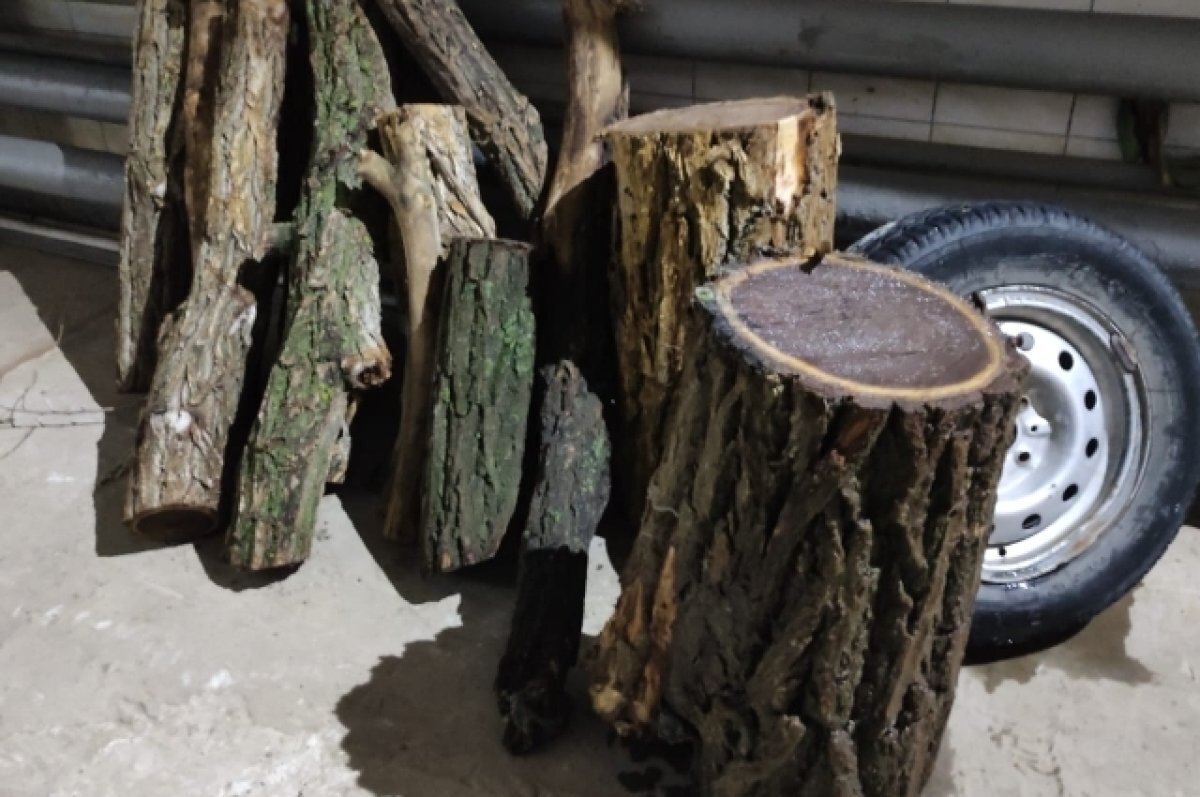    Пенек и забортованное колесо выловили из канализации в Волгограде