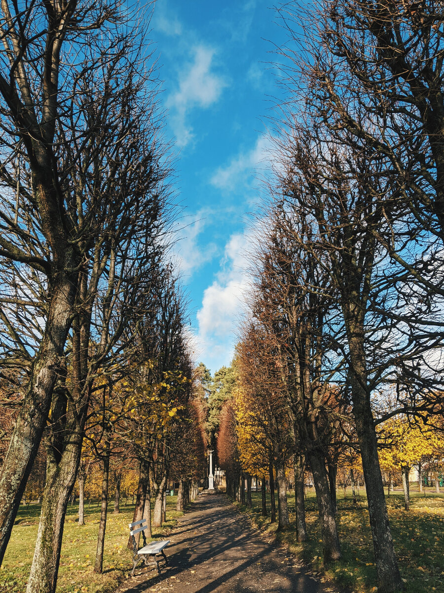 Регулярный парк
