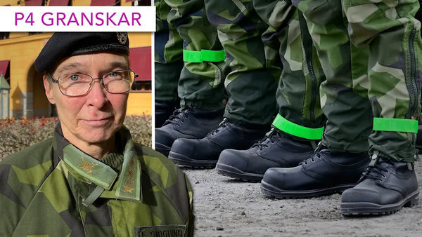    Шведские солдаты оказались нацистами, но их поняли и простили