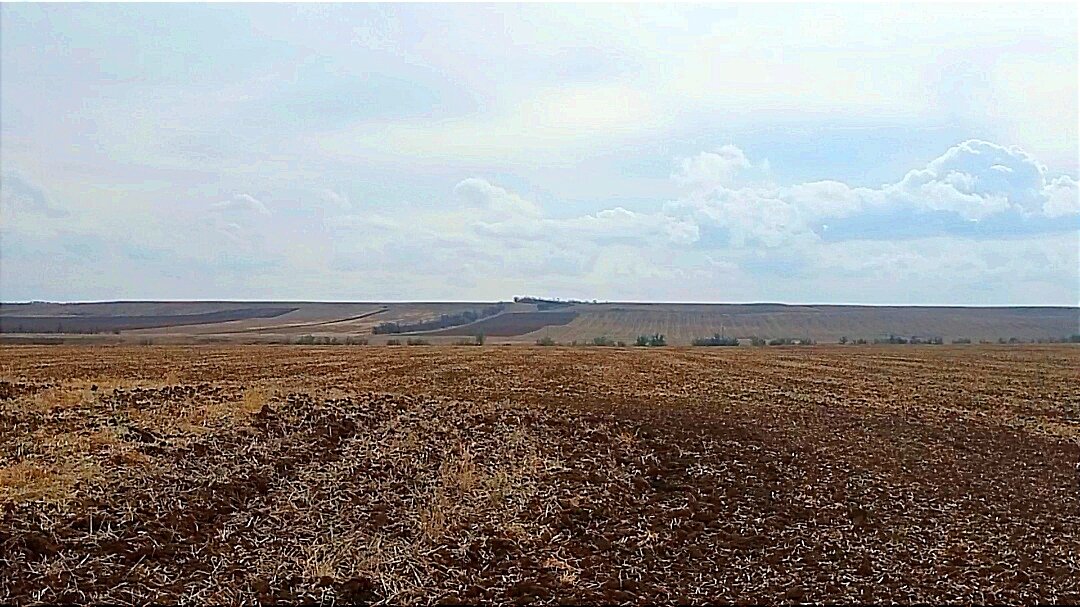 Речушка на том конце поля, вдоль посадки