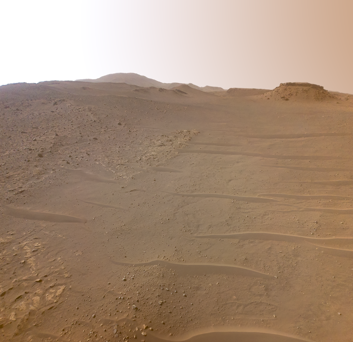 Mars2020 - Sol 697 - Ingenuity RTE NASA/JPL-Caltech/Kevin M. Gill