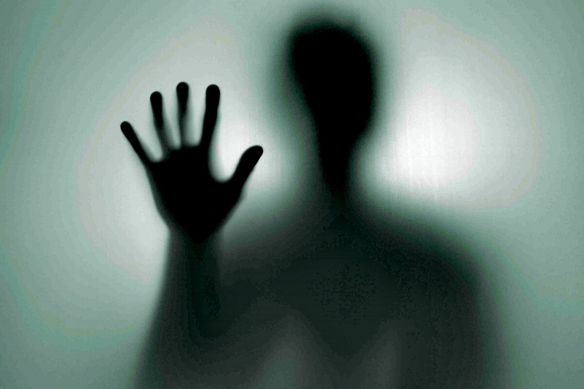 Фото из интернета 