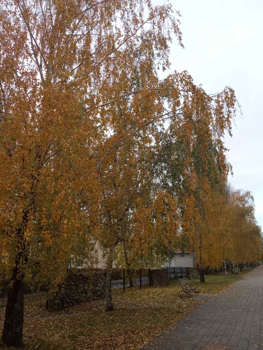 Ежедневная дорога на одну из моих работ