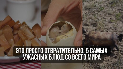 Это просто отвратительно: 5 самых ужасных блюд со всего мира