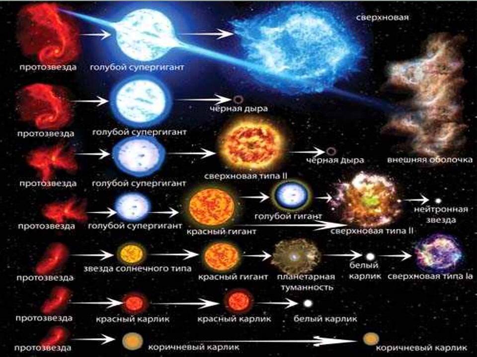 Жизненный цикл звезды. Цикл эволюции звезд. Стадии жизненного цикла звезды. Этапы эволюции звезд.