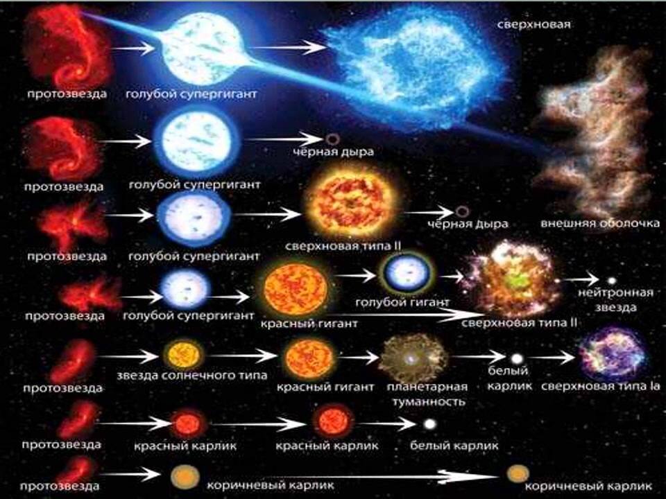 Жизненный цикл звезды. Цикл эволюции звезд. Стадии жизненного цикла звезды. Этапы эволюции звезд. Финал эволюции звезды сканворд 7