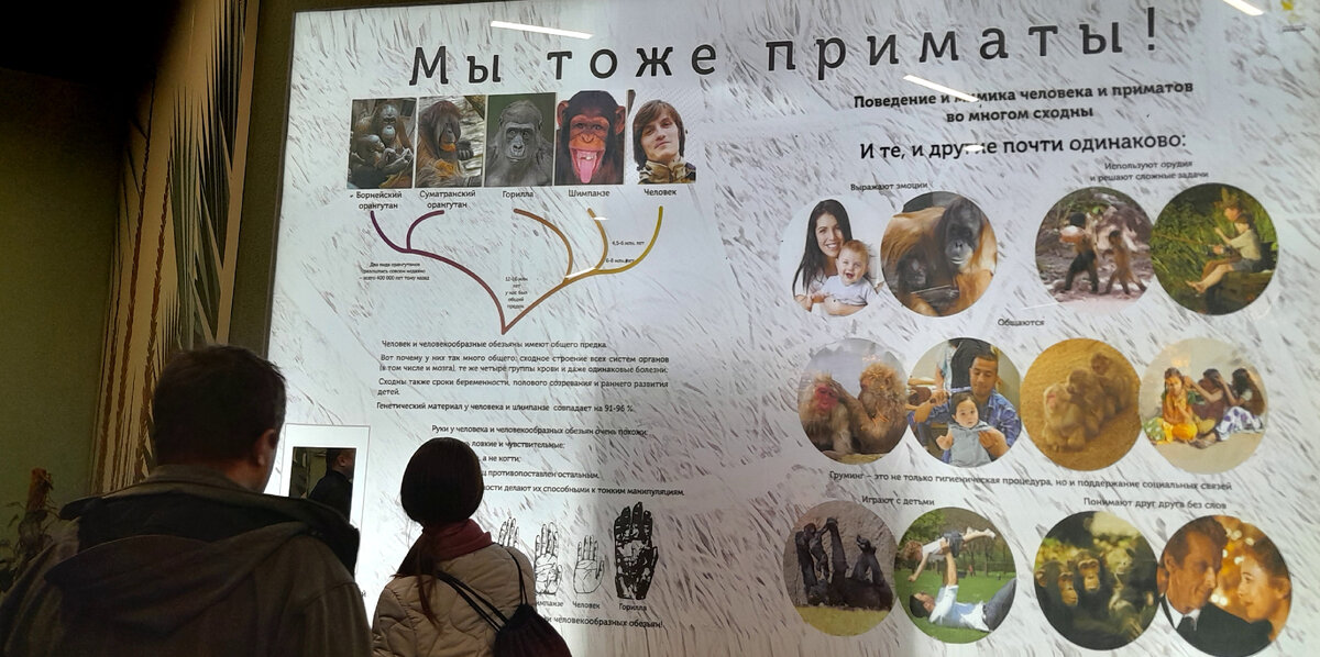 фото автора стенд