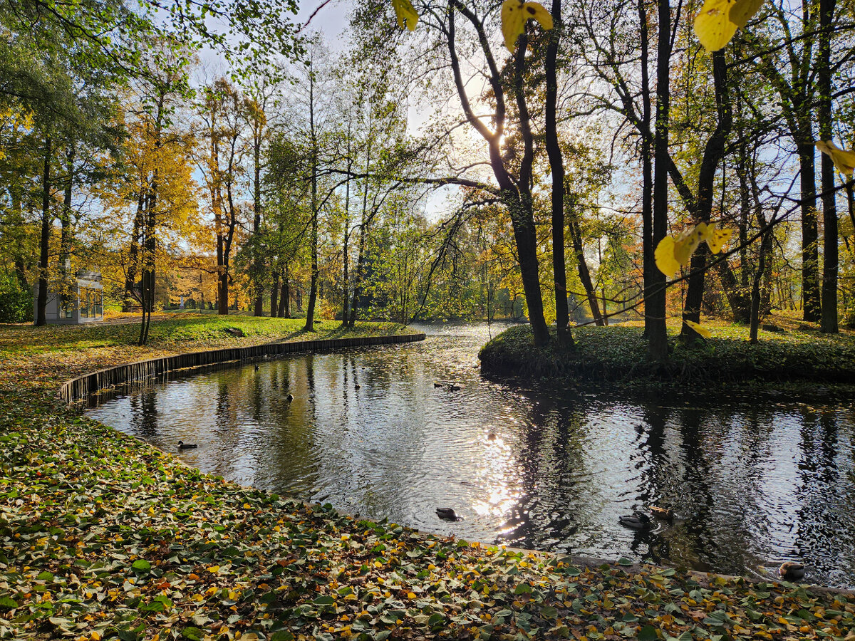 Мы любим осень, потому что... | Живая фотография + | Дзен