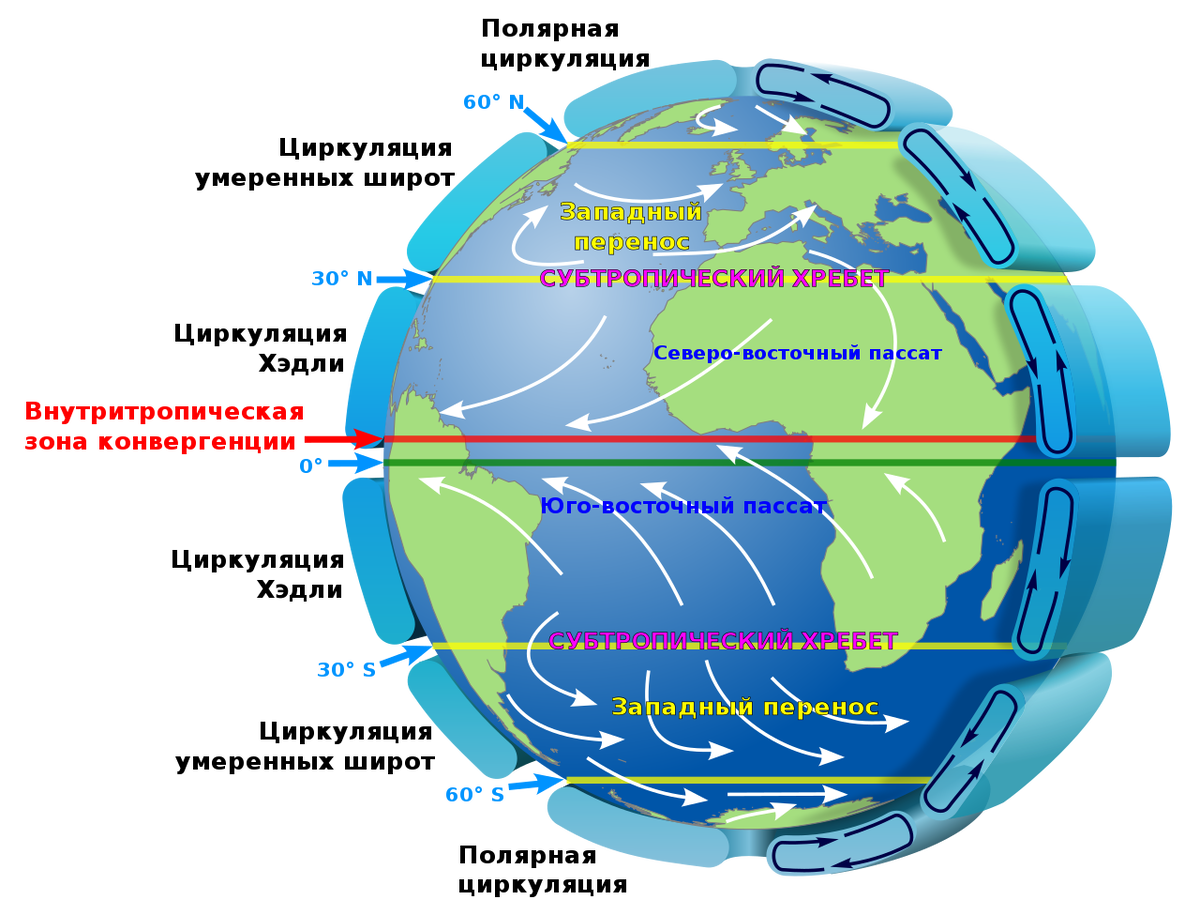 Западные ветры. Схема общей циркуляции атмосферы на земле. Циркуляционные ячейки атмосферы. Движение воздушных масс в атмосфере. Схема пассатов и муссонов.