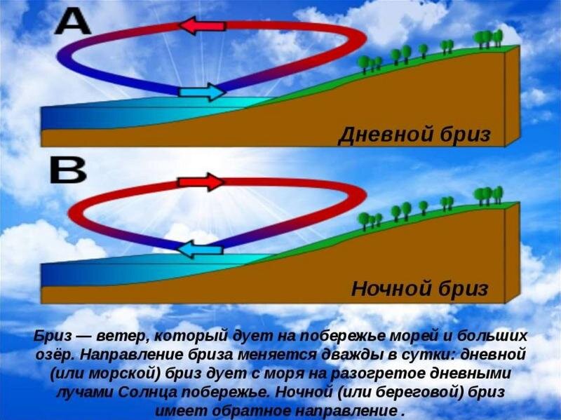 Ветер меняется. Направление дневного и ночного бриза. Бриз. Схема образования дневного бриза. Бриз ветер.