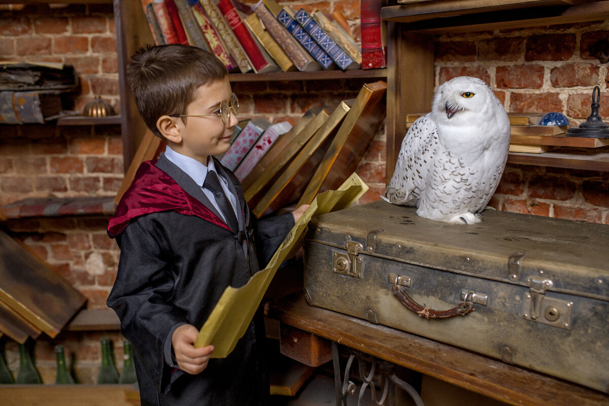 Детский  день рождения в стиле Гарри Поттера