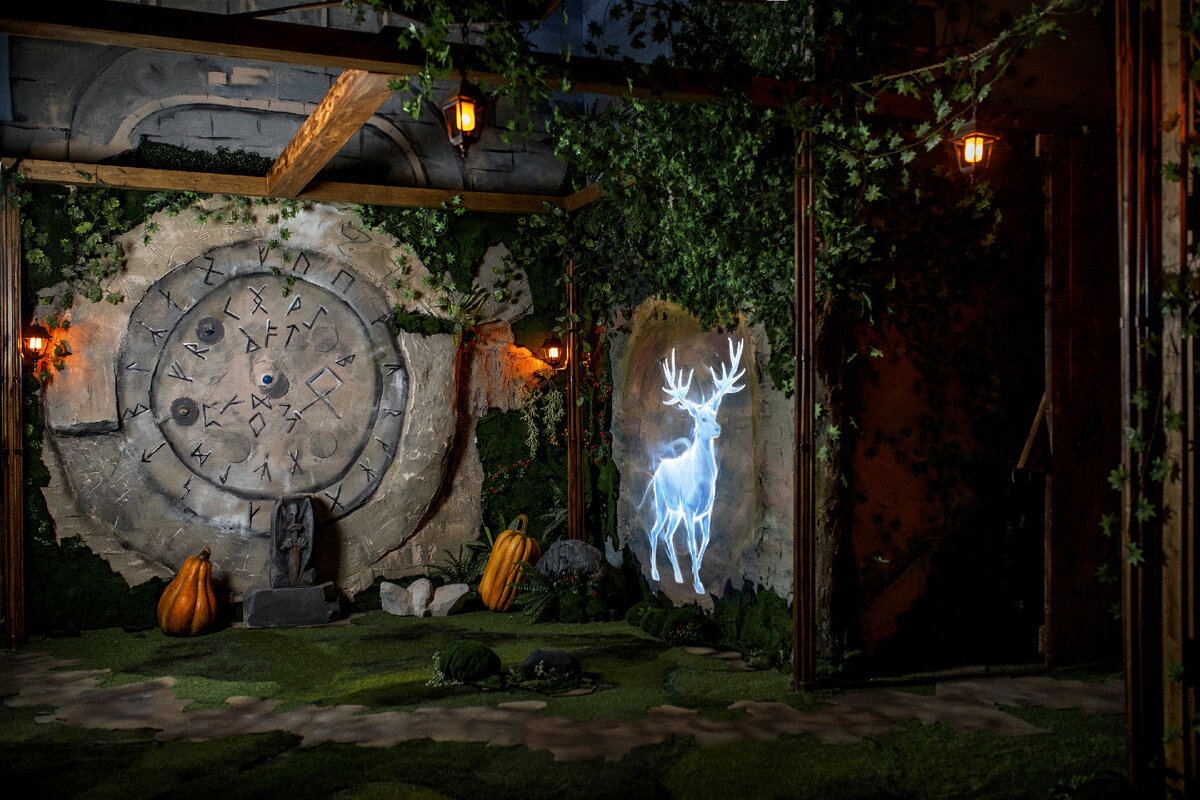 Мультимедийная проекция 