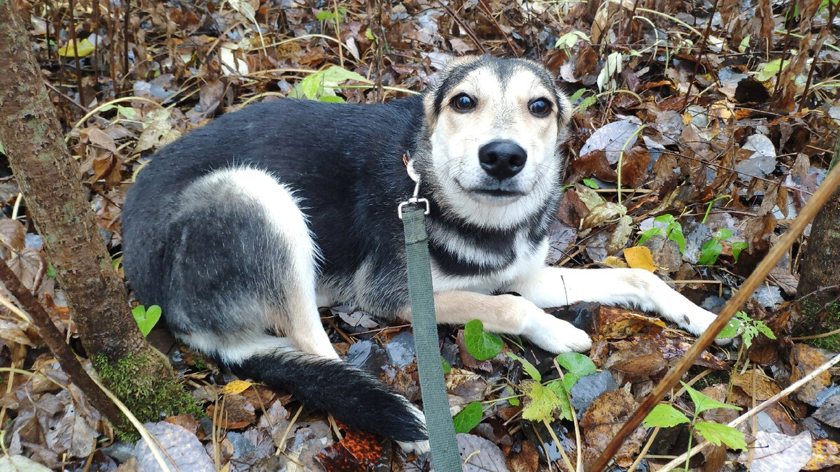 Этот неожиданный мир!