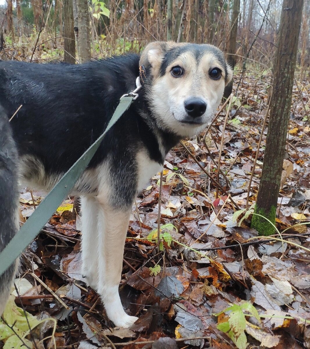 На эту прогулку вынесли " малышку" на руках .  
