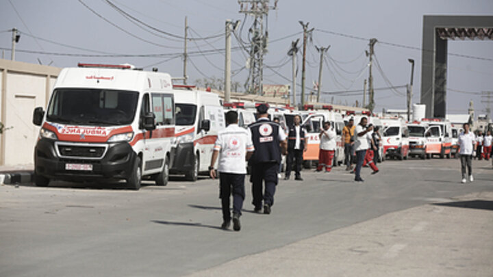 ФОТО: STR/GLOBALLOOKPRESS