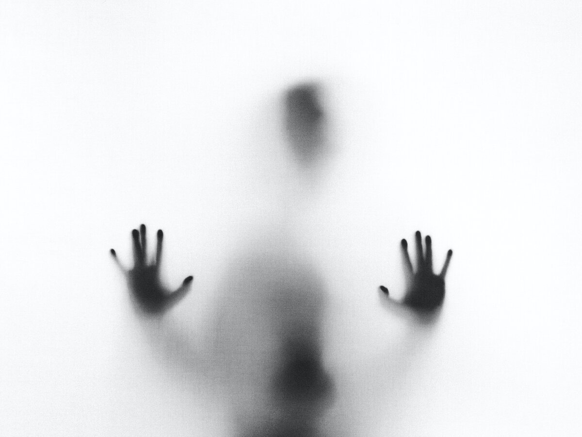 Stefano Pollio, Unsplash