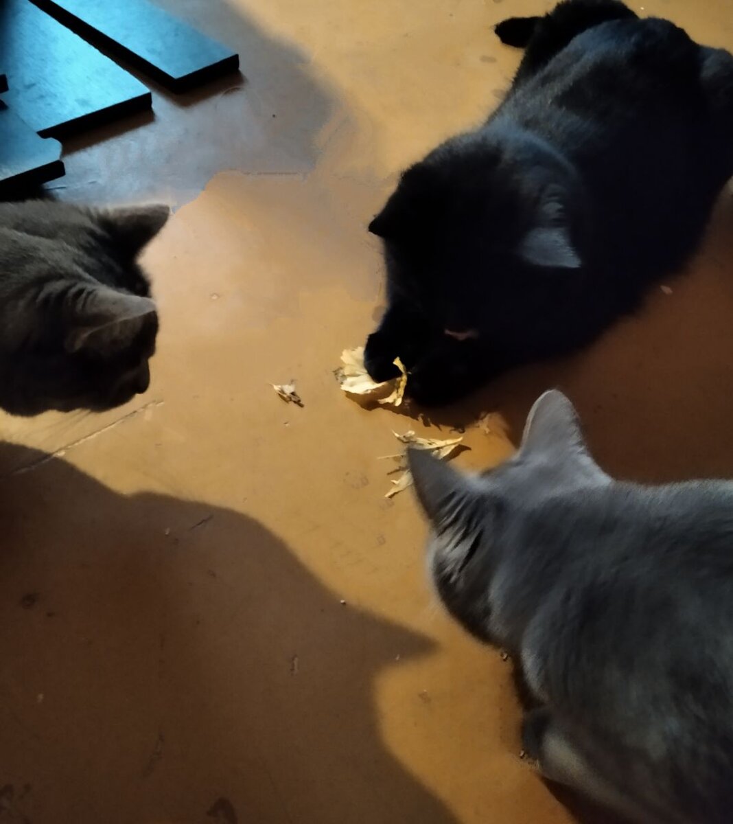 Передел собственности.