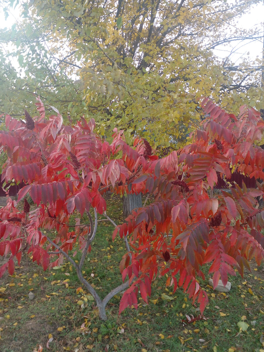 Сергей живёт со мной. Пока всё отлично | Ирина Анатольевна | Дзен