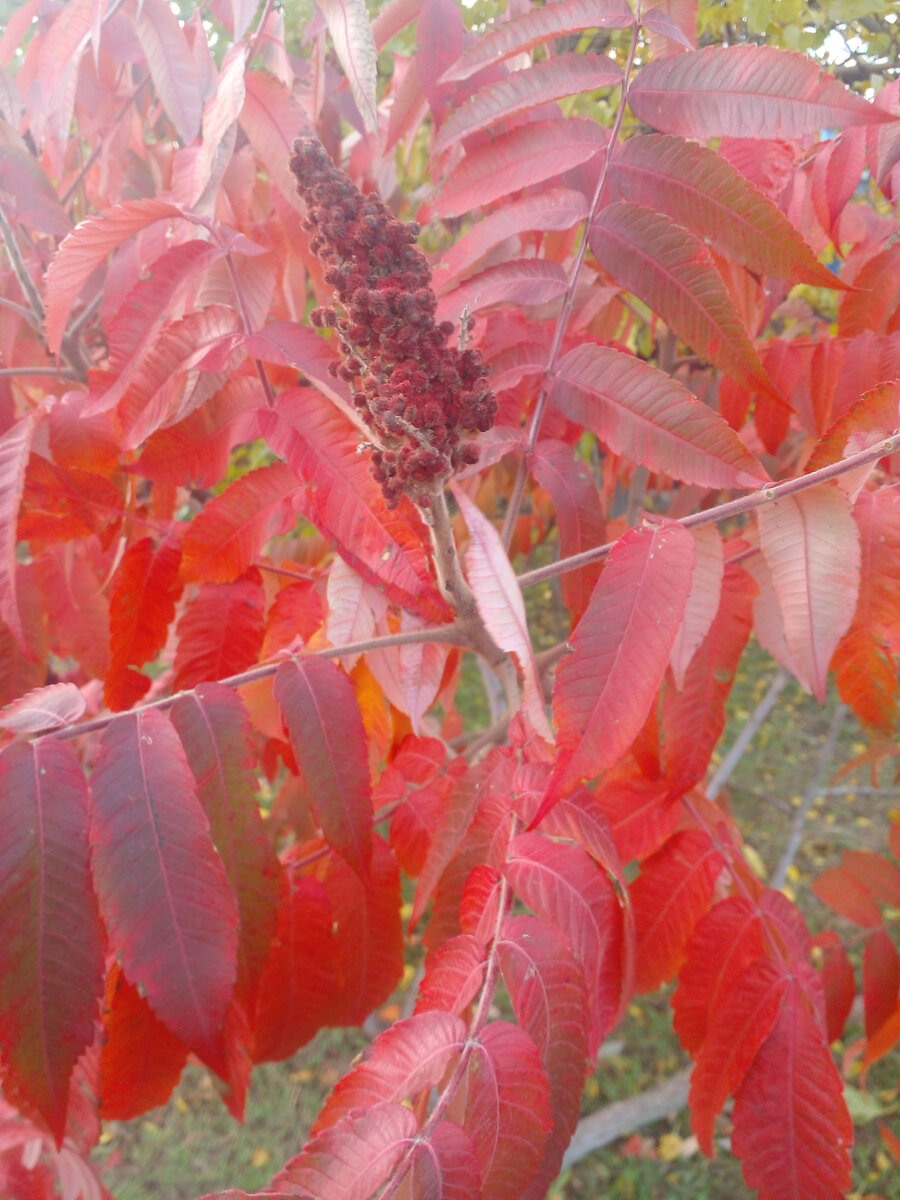 Сергей живёт со мной. Пока всё отлично | Ирина Анатольевна | Дзен