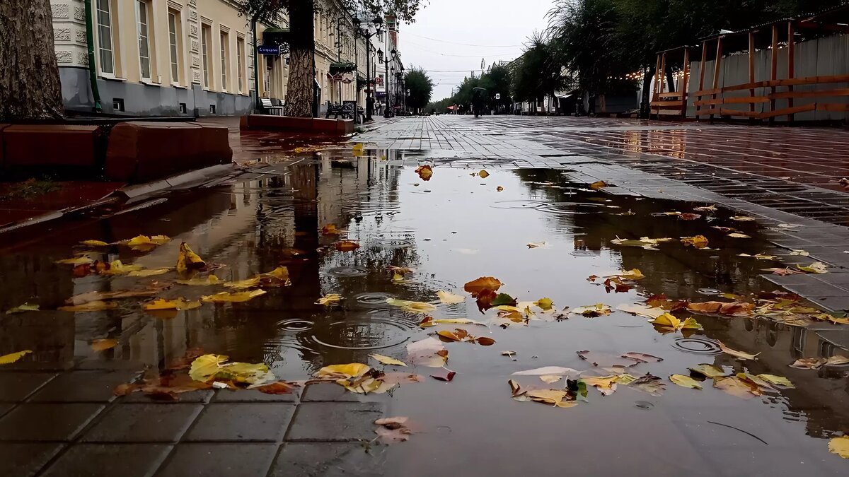 Прогноз на март в Забайкалье: когда наступит тепло и будет ли снег - 26 февраля - evrozhest.ru