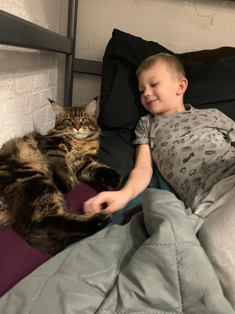  Выпускник питомника Dreamland Narnia с младшим хозяином)