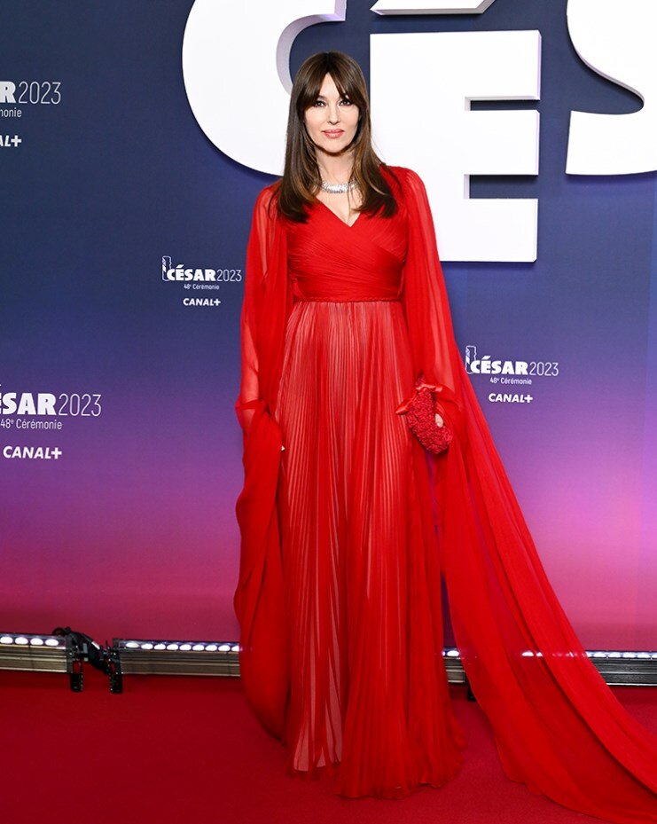 Монику Беллуччи называют одной из самых красивых актрис в мире. Она завораживает своей женственностью и красотой. Одного появления Моники в кадре хватало, чтобы придать фильму особую эстетику.