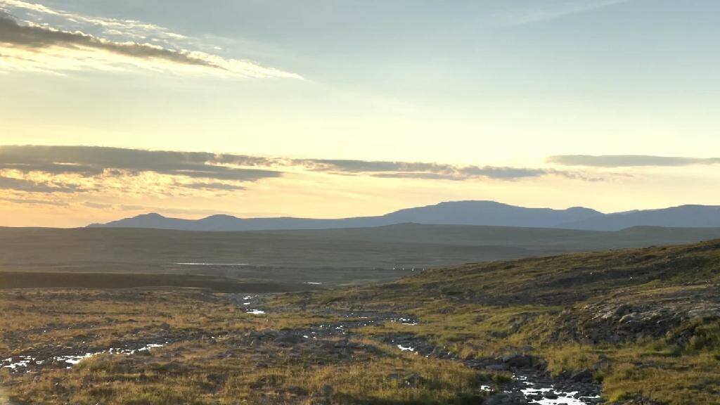 Проект Ганны Зубковой