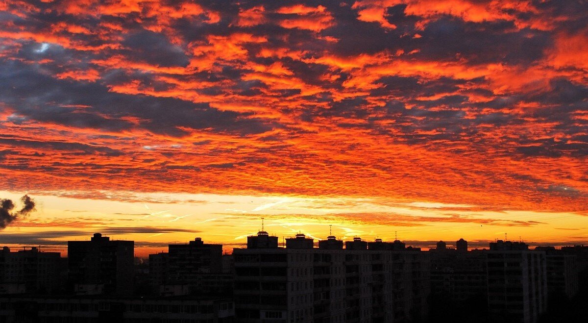 Картинка из источника в свободном доступе