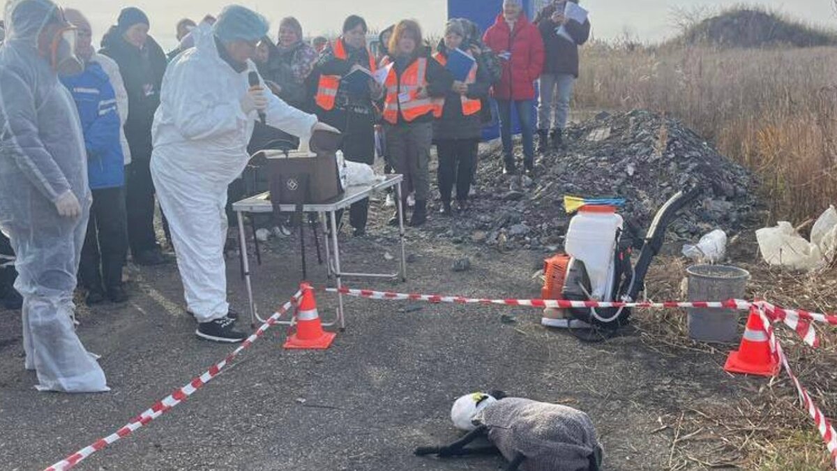    В Приморье прошли межрегиональные штабные учения ветеринарных служб. Сотрудники отрабатывали готовность к ликвидации чумы мелких жвачных животных.