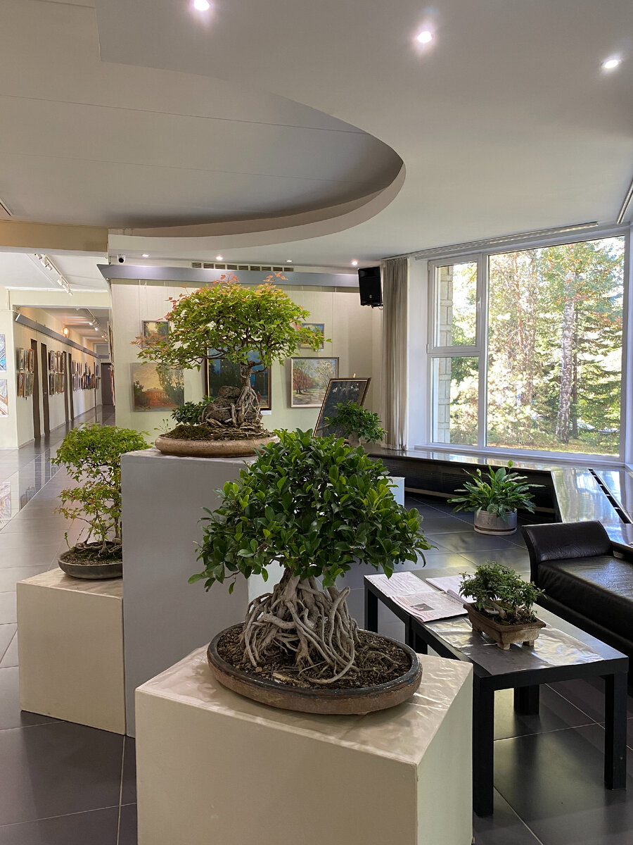 Выставка "Академгородок в квадрате". Новосибирск, ДУ СО РАН, сентябрь 2023