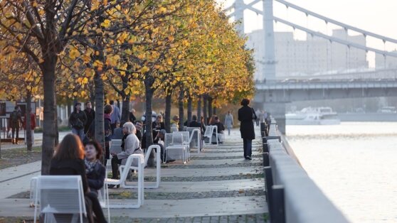    3 ноября в Москве будет туман и до +7°C Сергей Бунеев