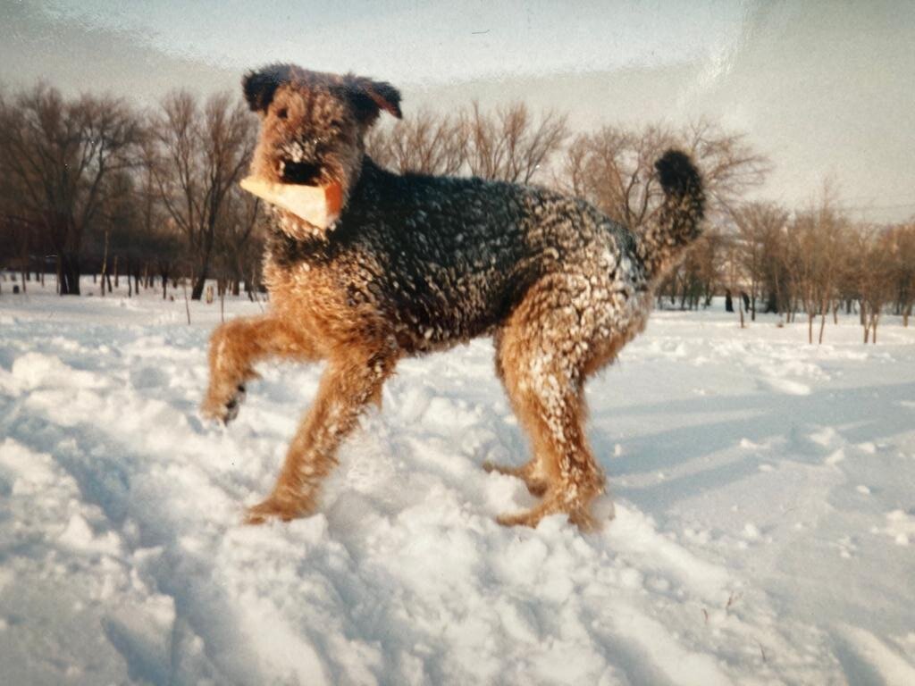 Вот он, тот самый сыр. 