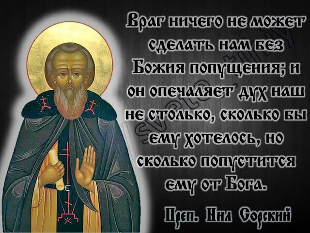 Из открытых источников Яндекса.