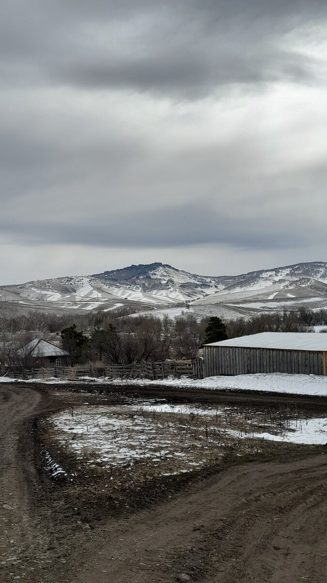 с. Колово, Алтайский край, 2023 г.