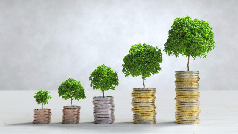     Как заработать деньги? ru.freepik.com