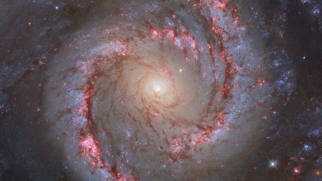     Источник: ESA/Hubble & NASA, D. Calzetti and the LEGUS team, R. Chandar