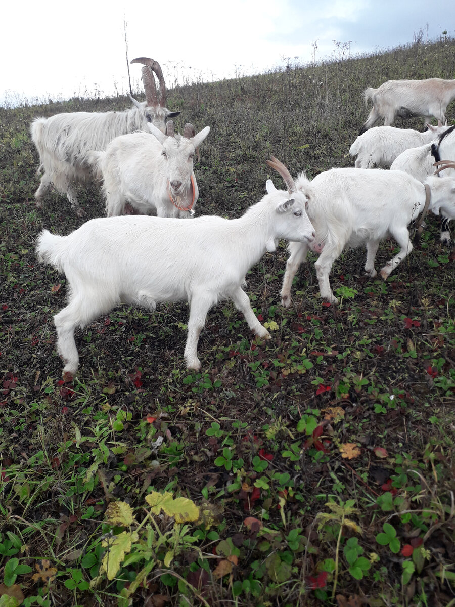 Поход, поход!!!!