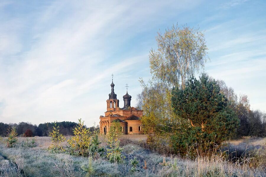 Ноябрь храмы. Алёховщина Церковь поздняя осень. Церковь Никола на Рене. Храм ноябрь. Ноябрь храм природа.